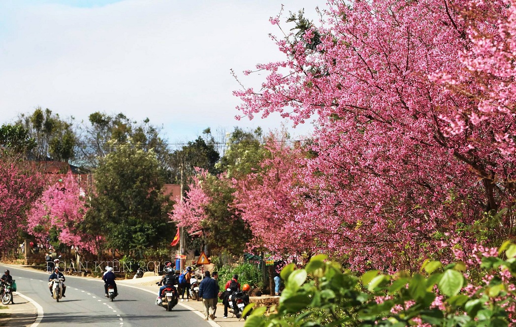 kinh nghiem du lich da lat tu tuc