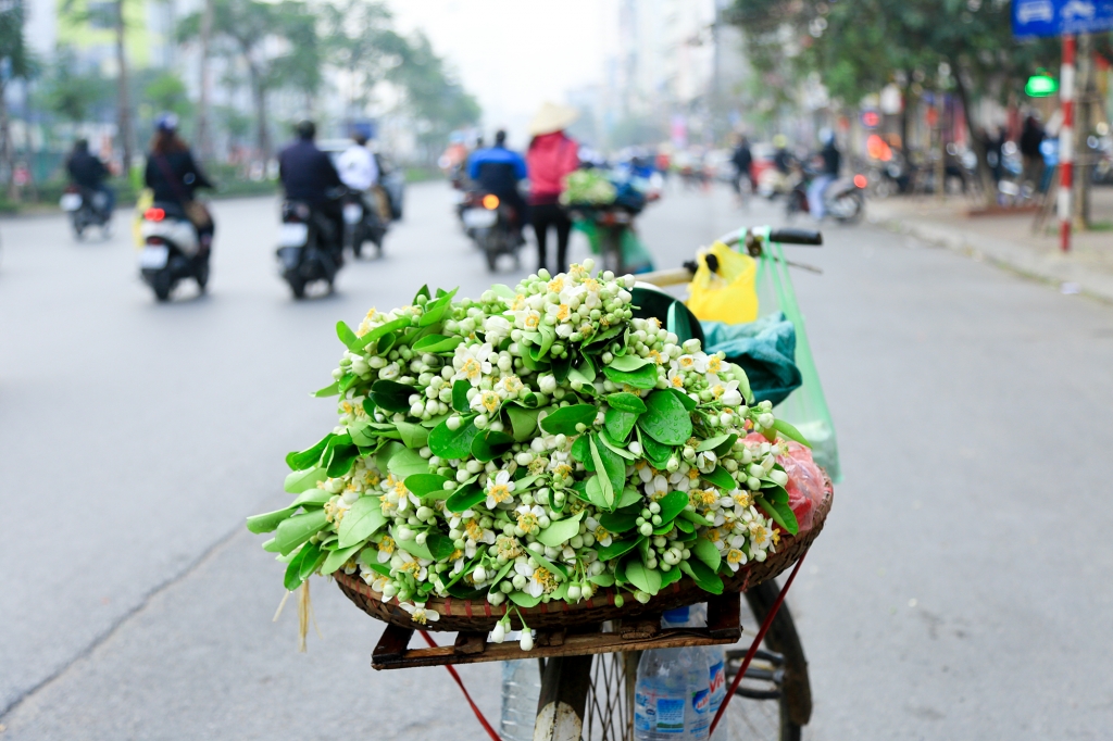 du lich ha noi thang 3 co gi