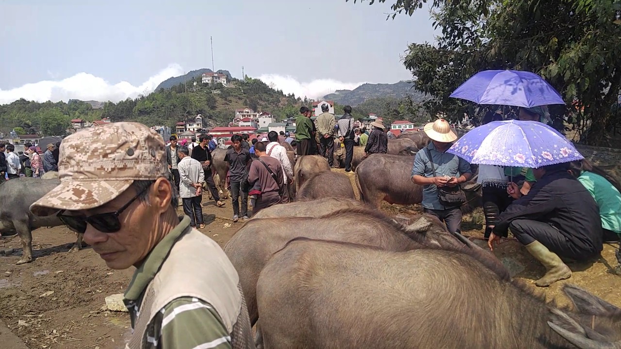 nhung kinh nghiem di cho bac ha