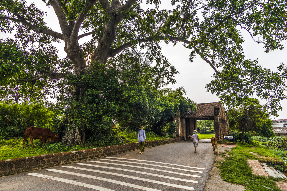 nhung dia diem du lich dep nhat o ha noi