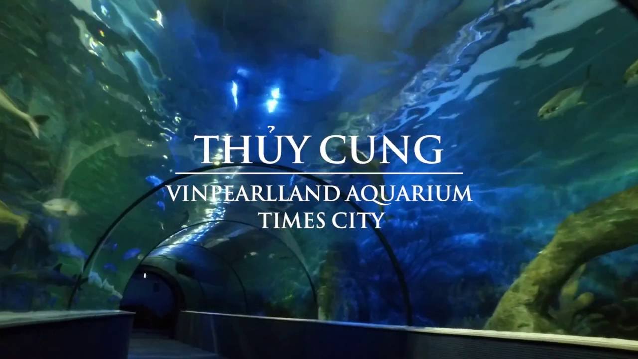 gia ve vao tham quan thuy cung times city