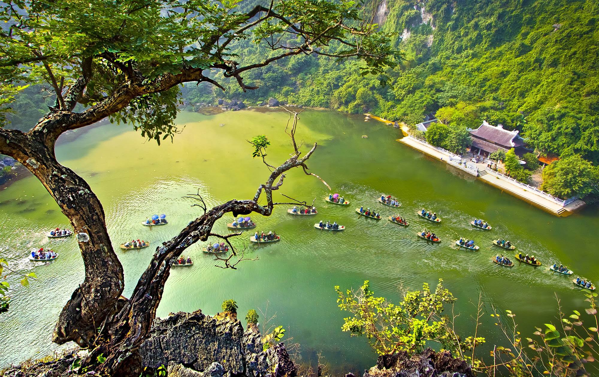 bai thuyet minh ve co do hoa lu o ninh binh