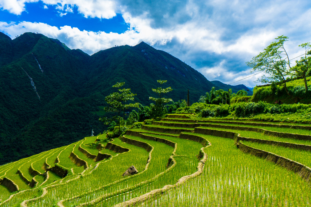 du lich sapa nen di bang phuong tien gi