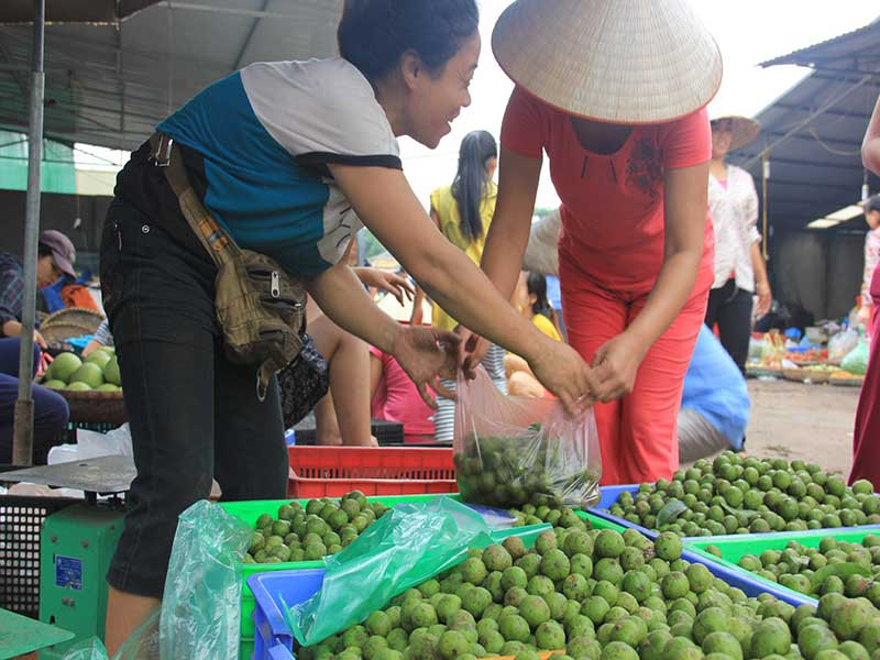 di du lich ha noi can bao nhieu tien