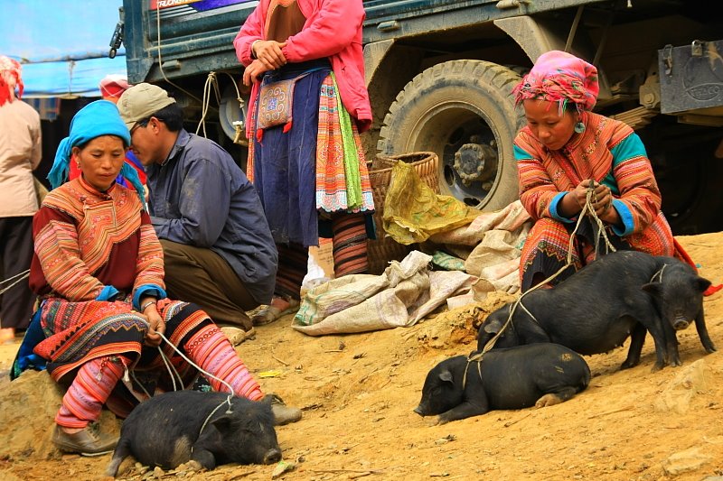 nhung dia diem du lich dep nhat o sapa