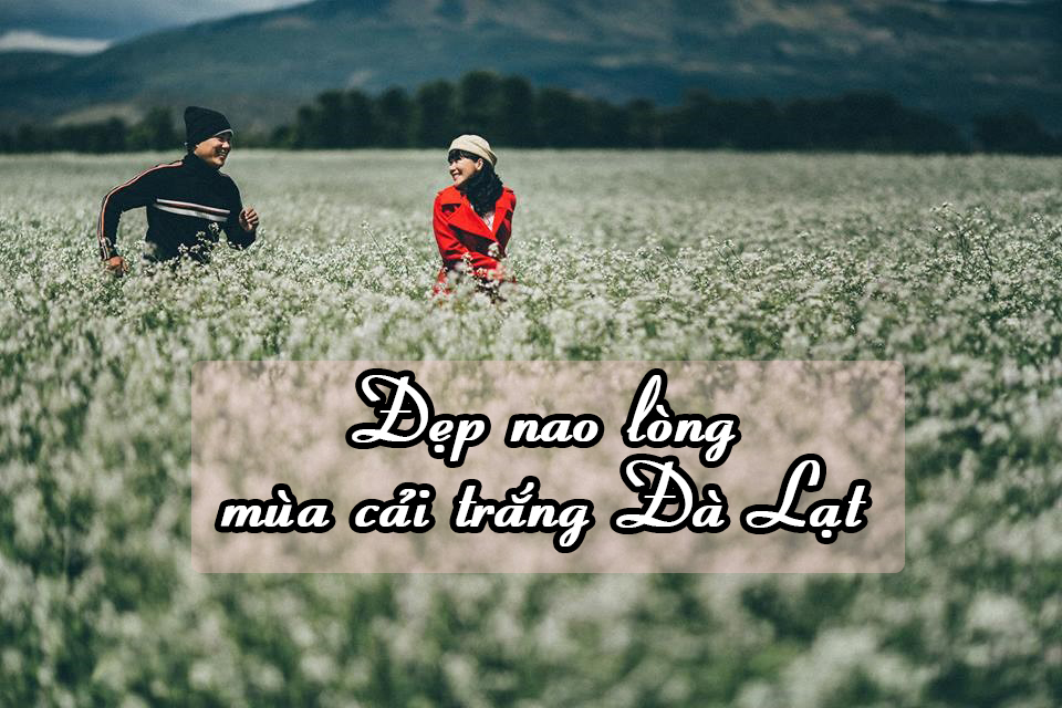 du lich da lat thang 12 co gi