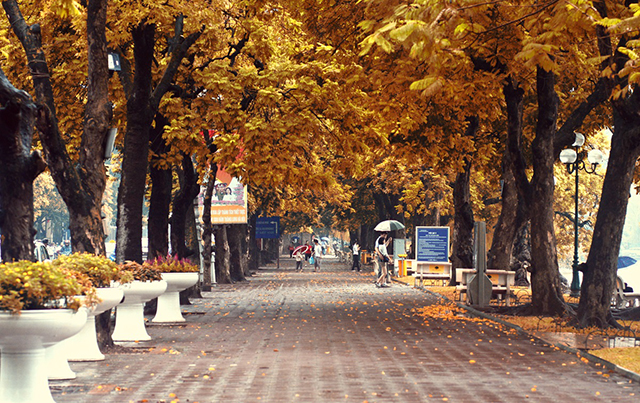 du lich ha noi nen di vao mua nao