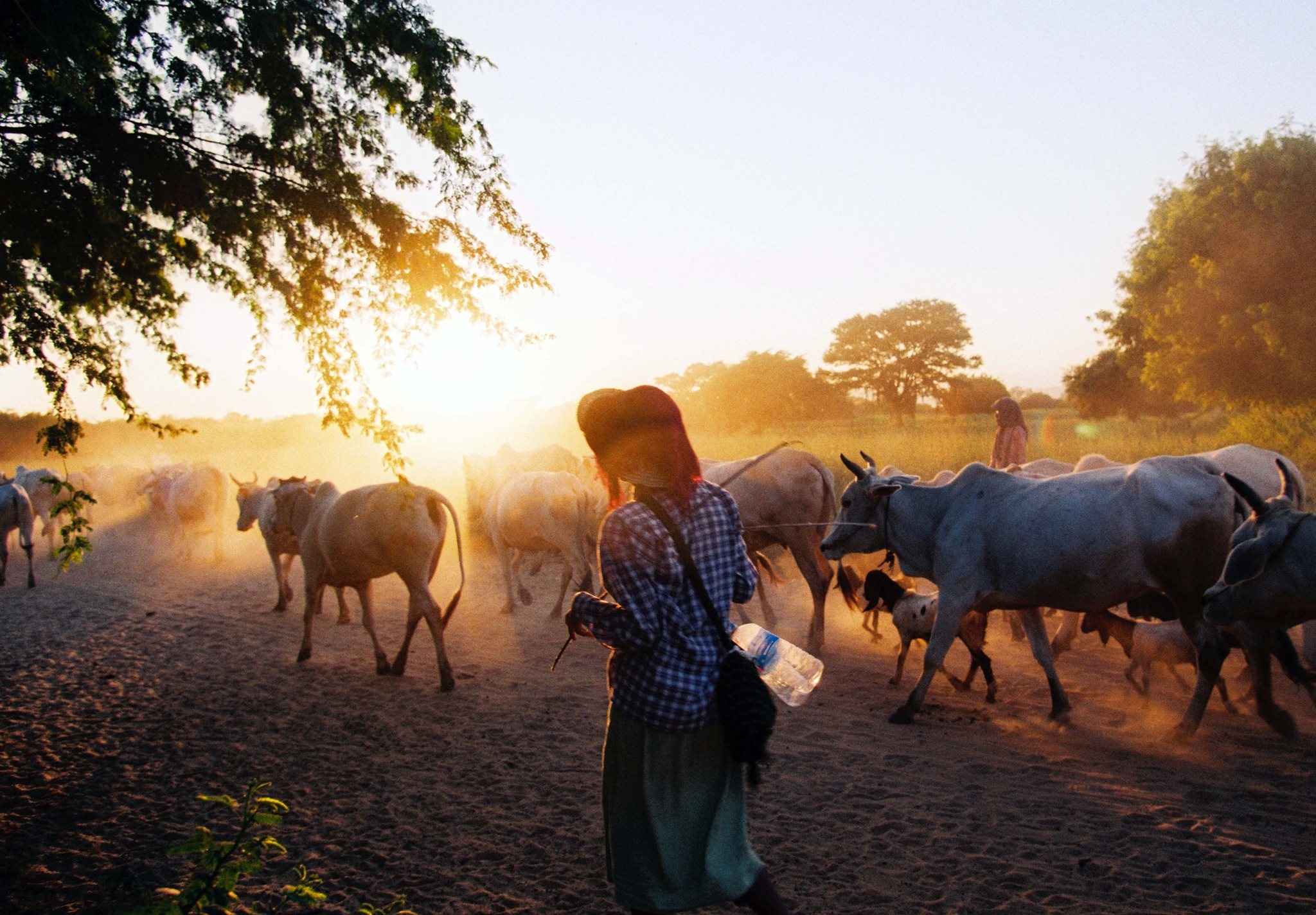 Kinh nghiem du lich Bagan anh 19