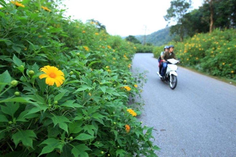 Len nui Ba vi ngam hoa da quy anh 2