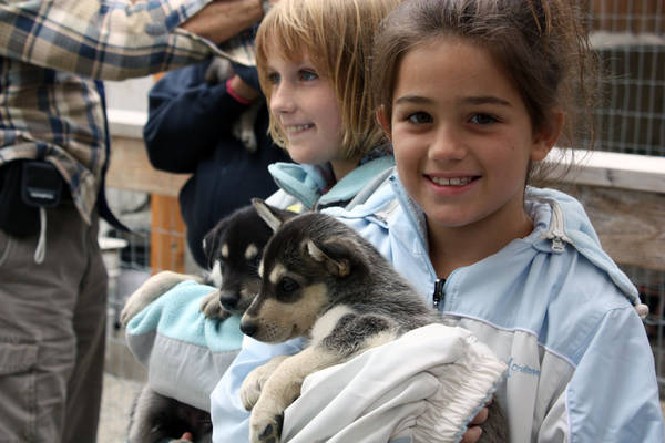 Thăm trại nuôi chó kéo xe ở Skagway