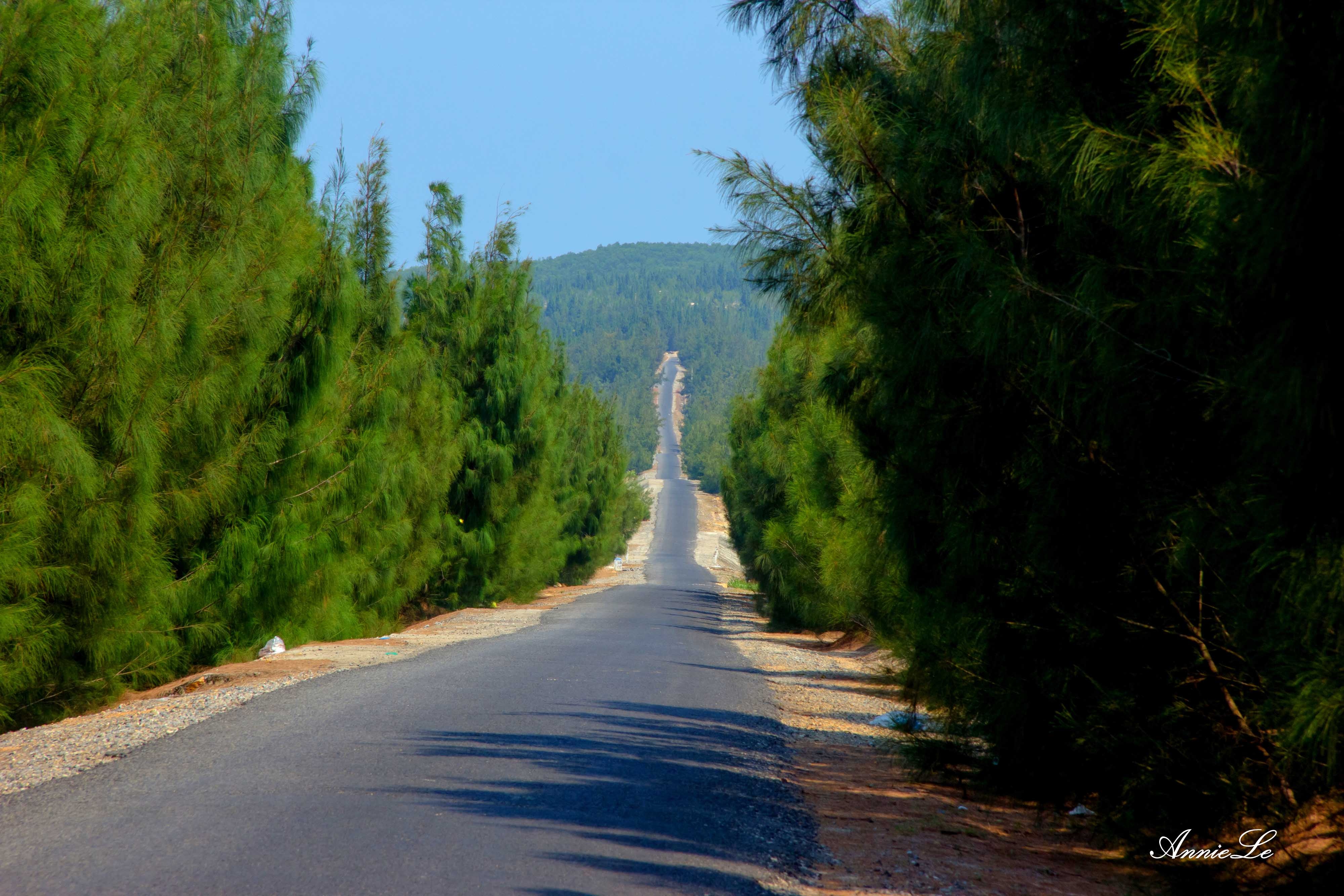 Tham quan Tu Nham Phu Yen anh 6