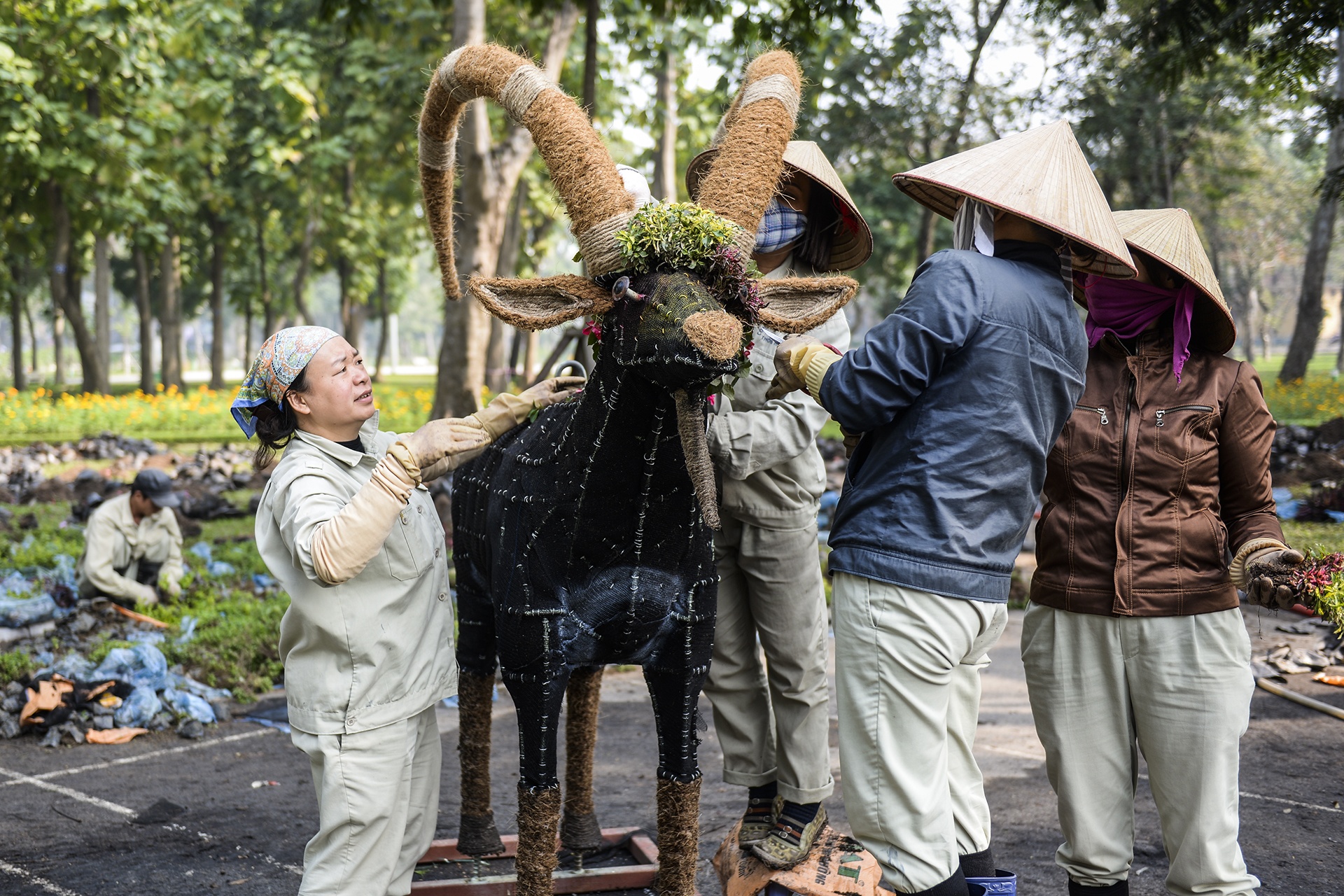 Tam ga long xanh duoi tim co mot khong hai o Ha Noi anh 11