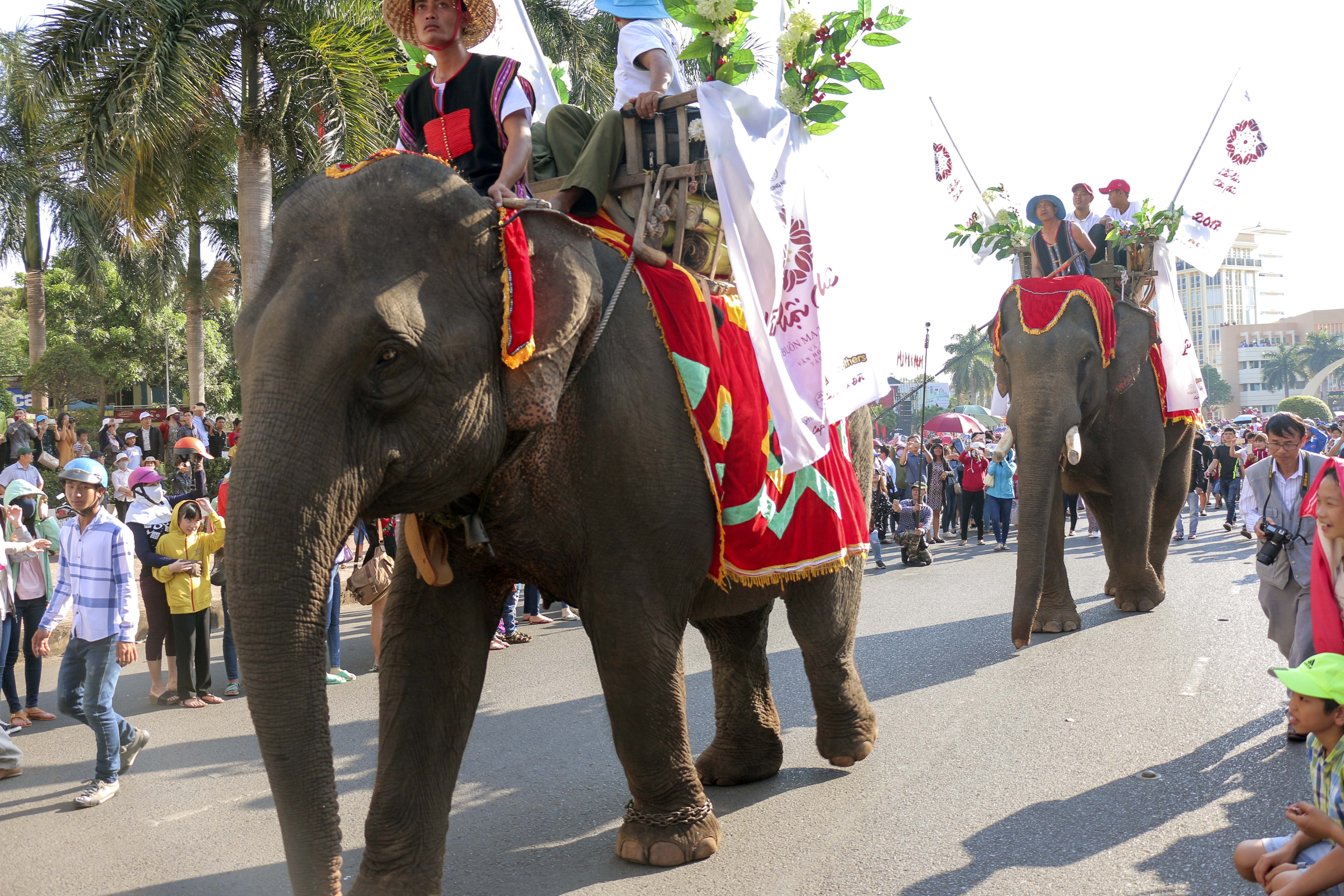 Le hoi duong pho Buon Ma Thuot anh 9