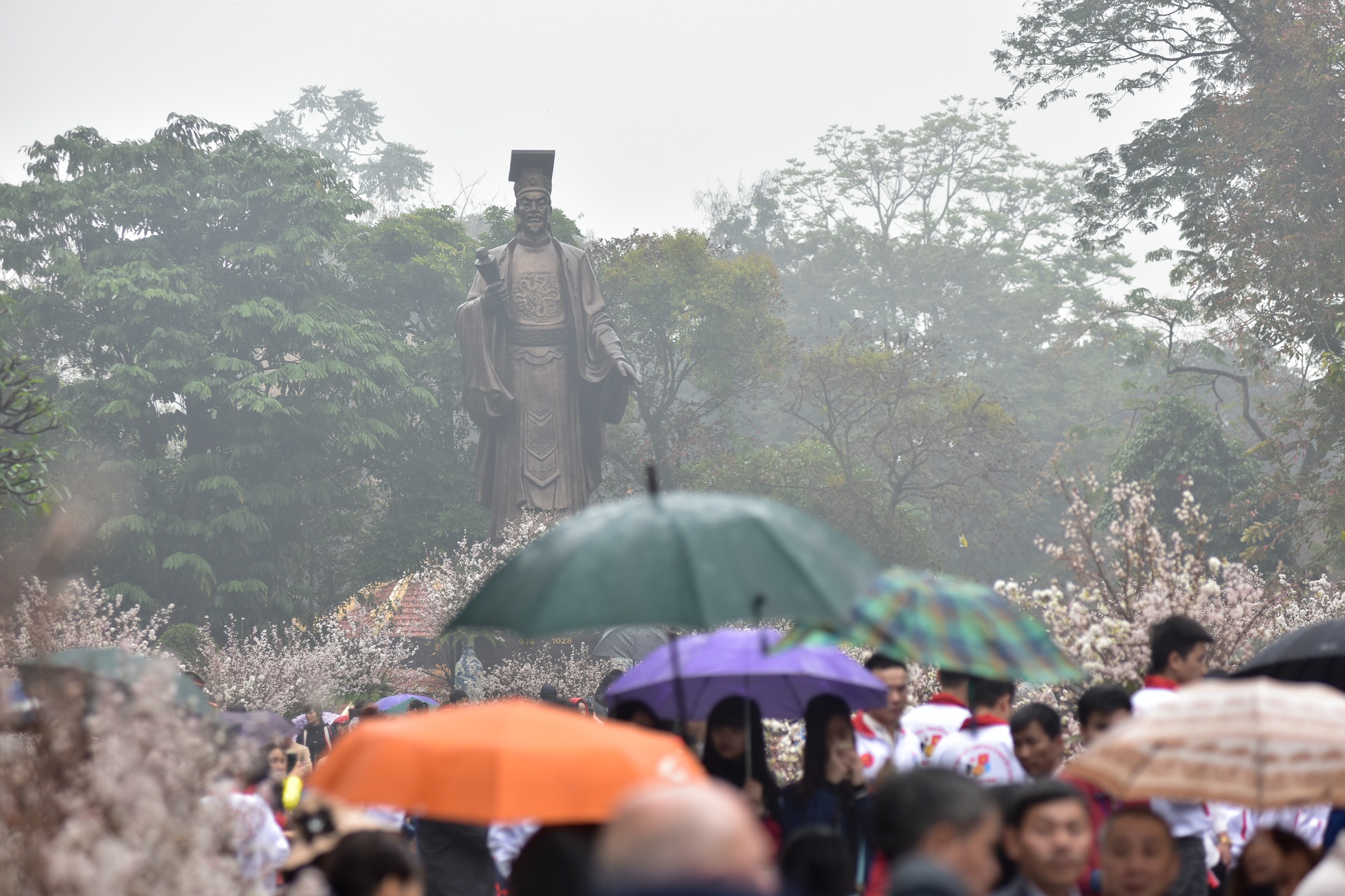 Le hoi hoa anh dao 2017 anh 1