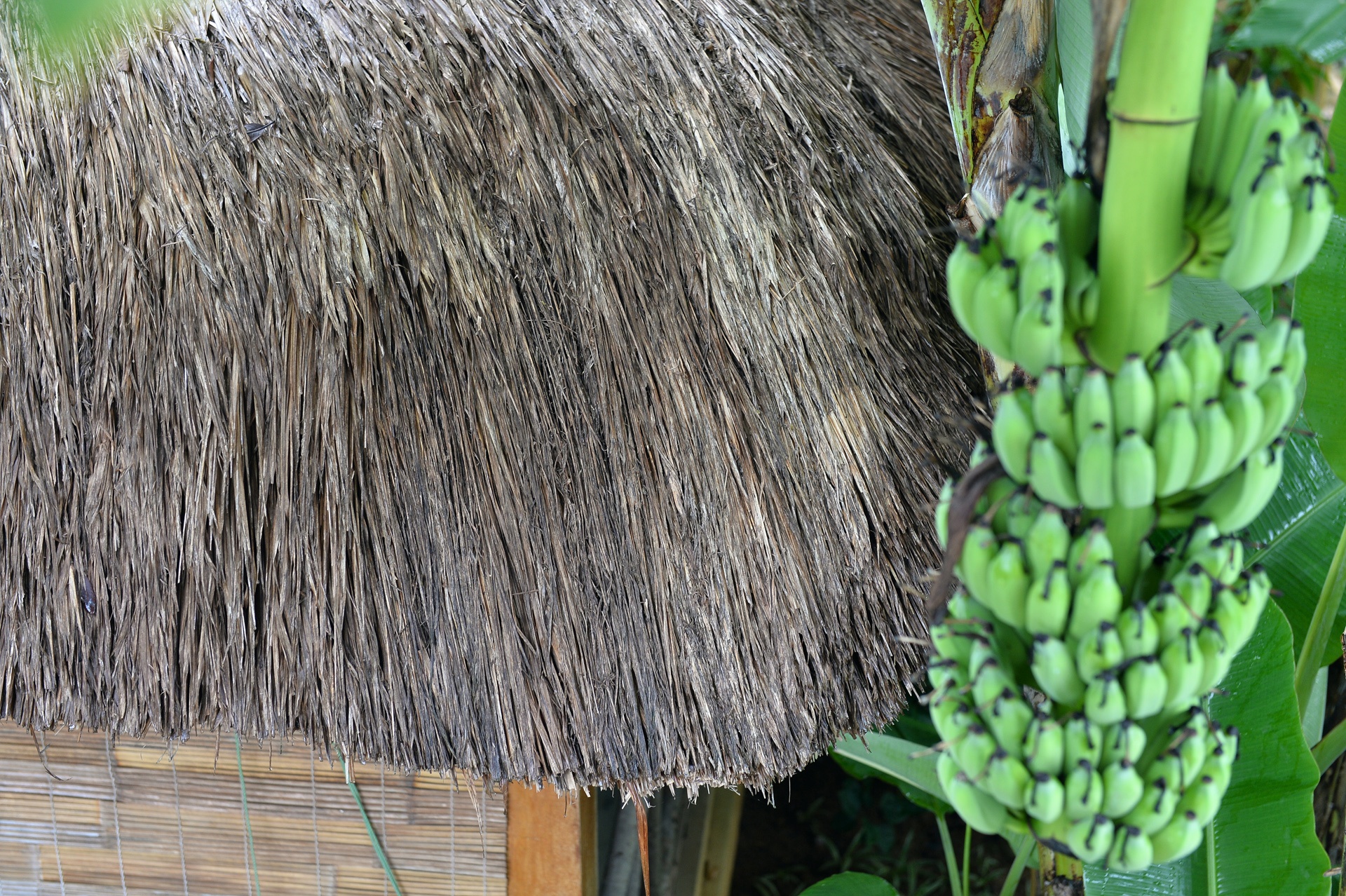 Mai Chau Villa duoi chan nui anh 9