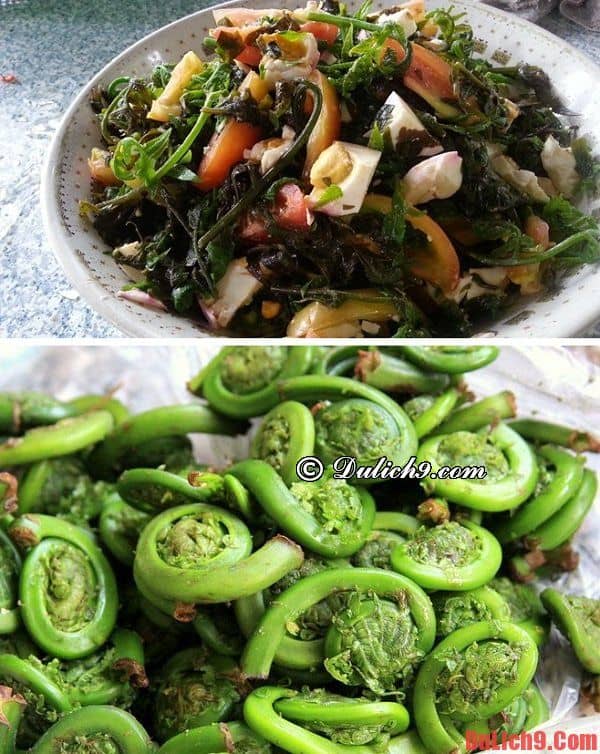 Salad dương xỉ - Top 5 món ngon độc, lạ, phải thử khi du lịch Taipei tự túc, vui vẻ