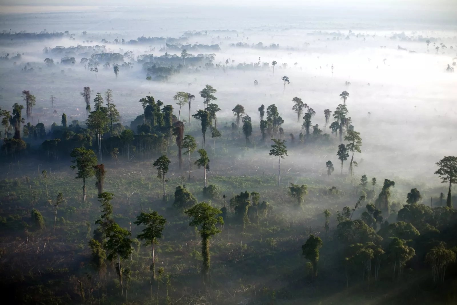 Hau qua cua bien doi khi hau khung khiep anh 10