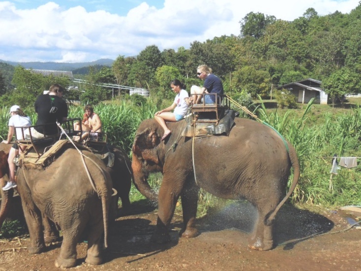 trai nghiem du lich can tranh anh 1