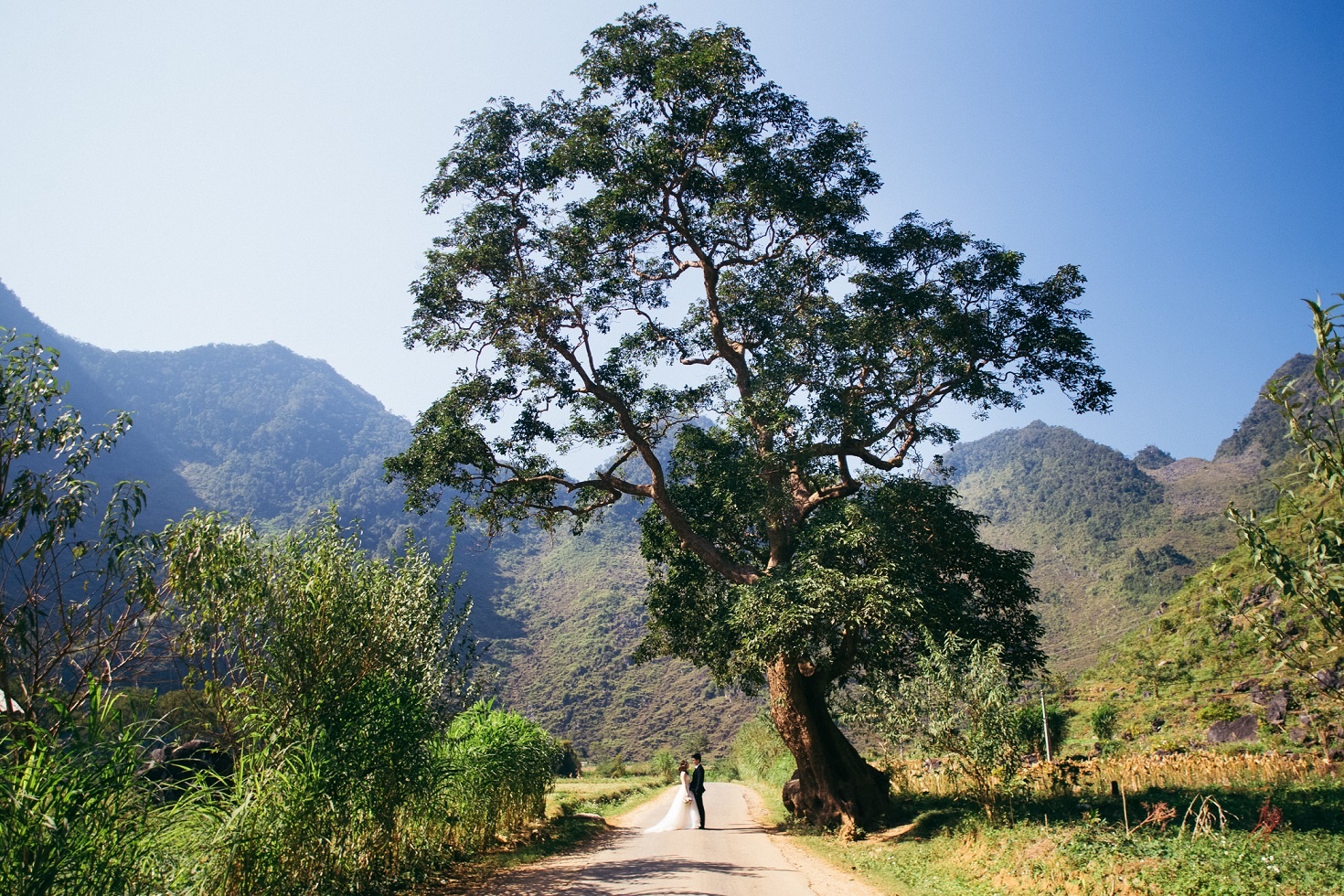 Chup anh cuoi o Ha Giang anh 6