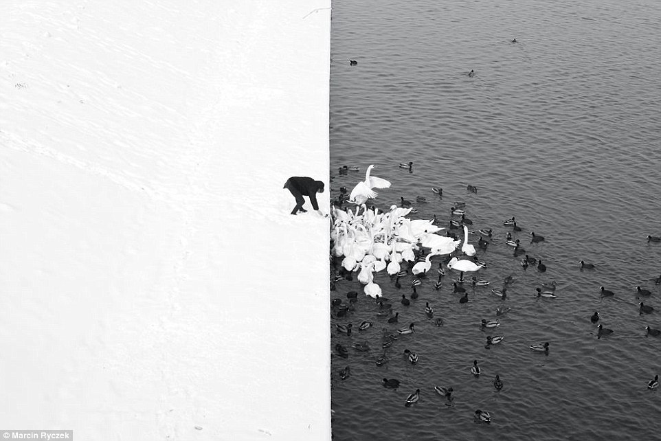 Anh dan luoi o Phan Rang, Siena International Photo Awards anh 11