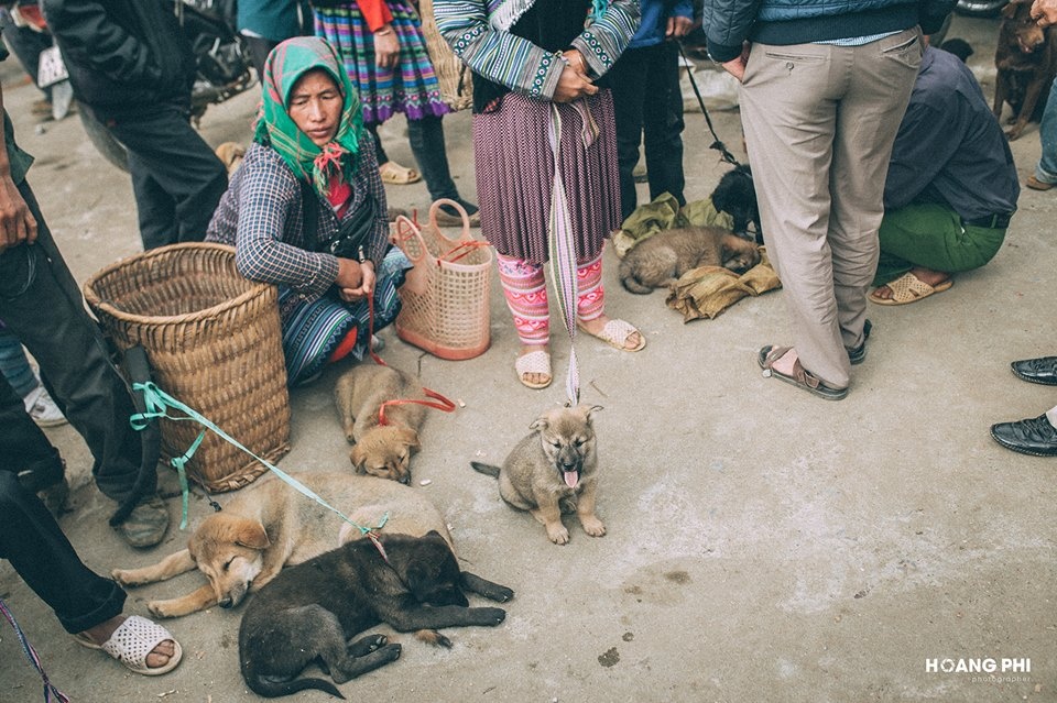 Du lich Lao Cai anh 13