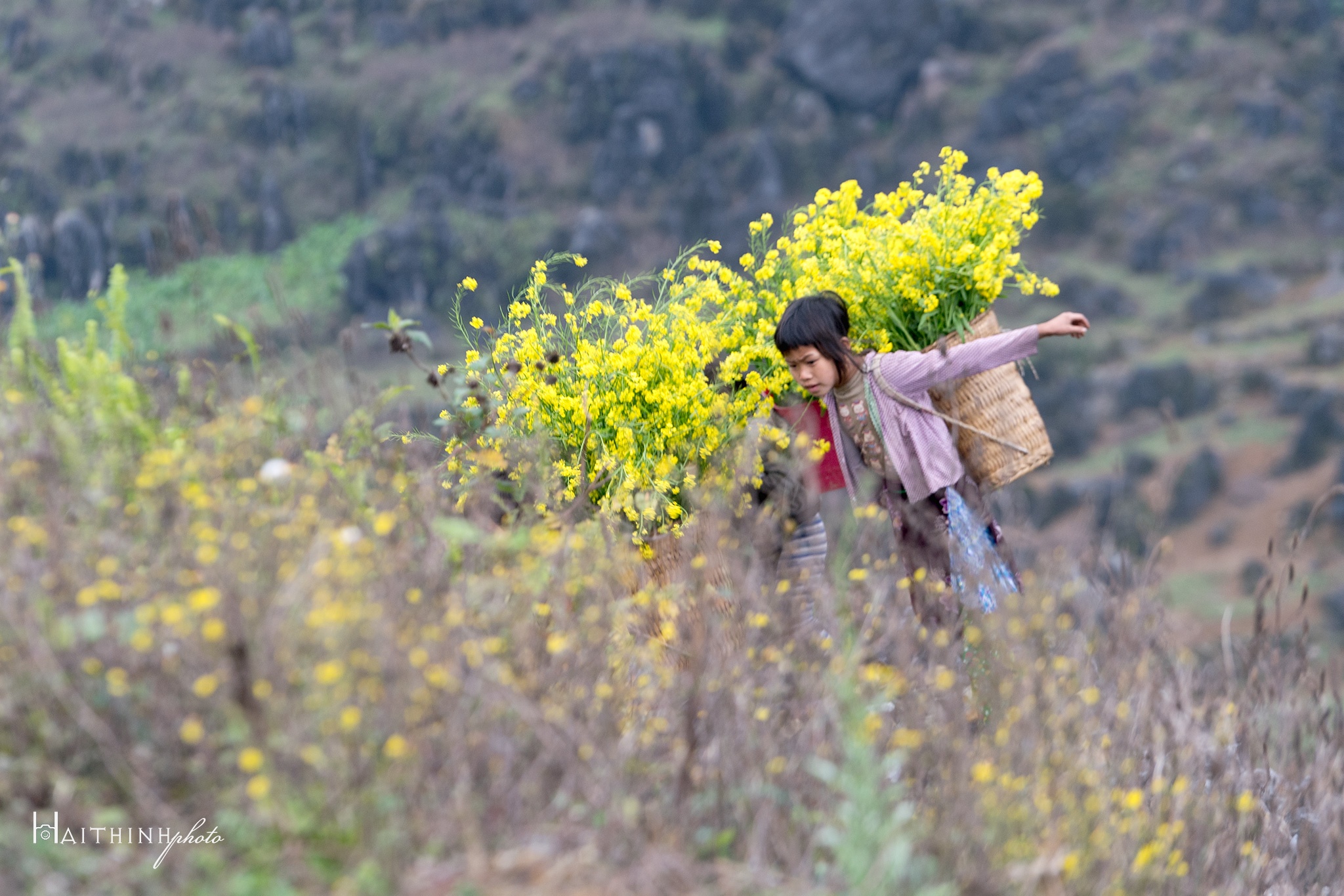 canh dep Ha Giang anh 10