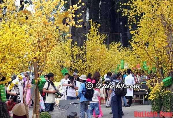 Chợ hoa ngày Tết nổi tiếng ở Sài Gòn. Những chợ hoa ngày tết nổi tiếng ở Sài Gòn