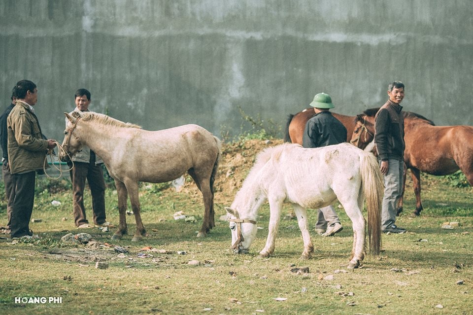 Du lich Lao Cai anh 20