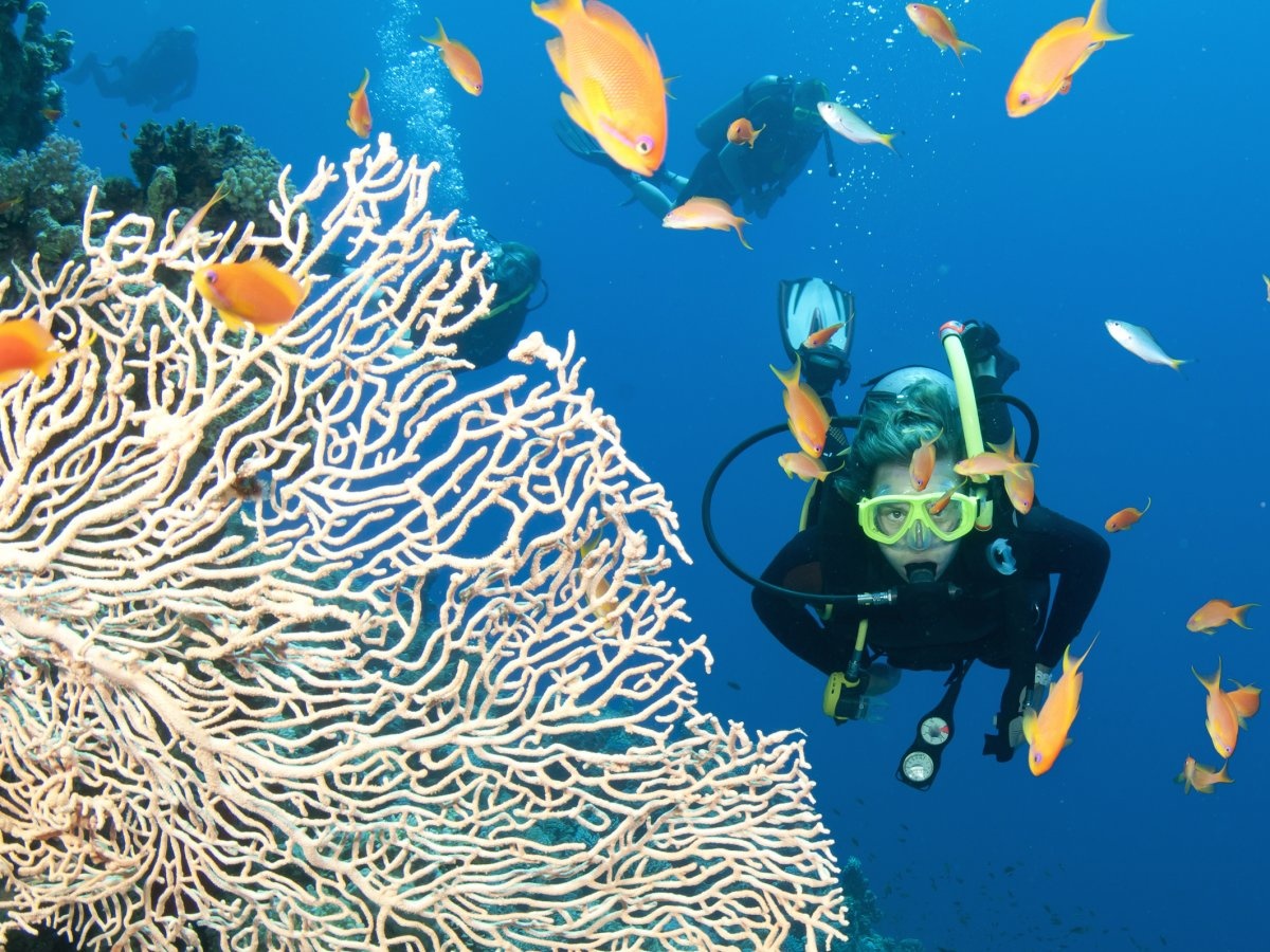 Ky quan thien nhien Great Barrier anh 4