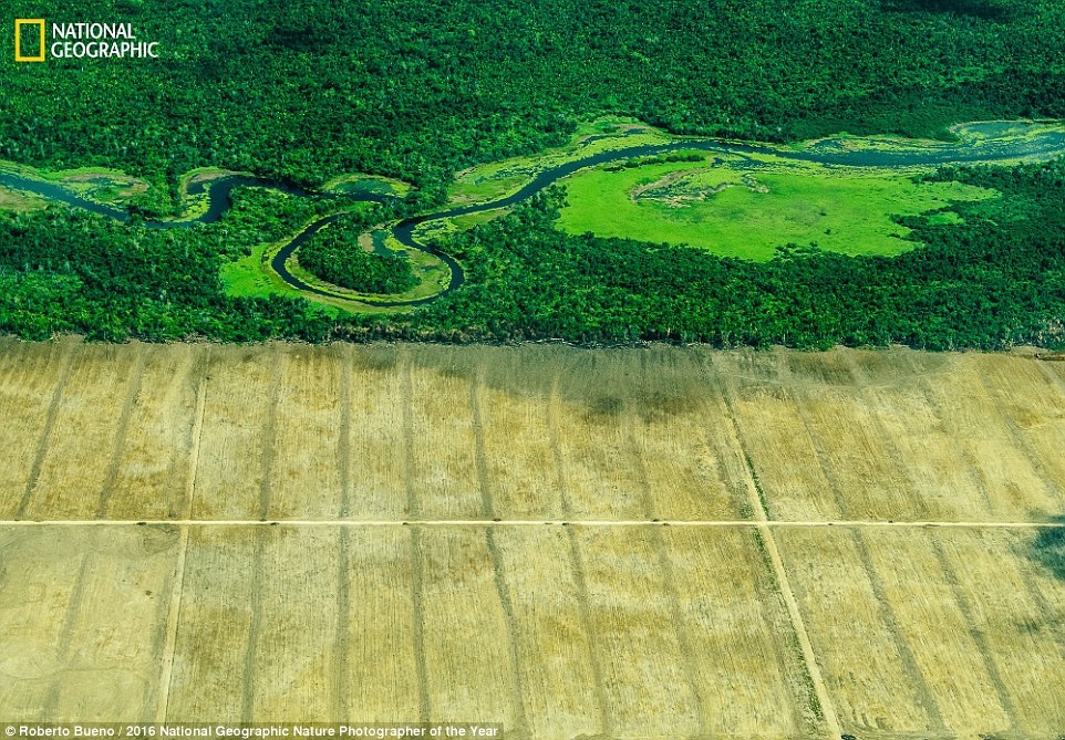 Thien nhien an tuong trong cuoc thi anh cua National Geographic anh 4