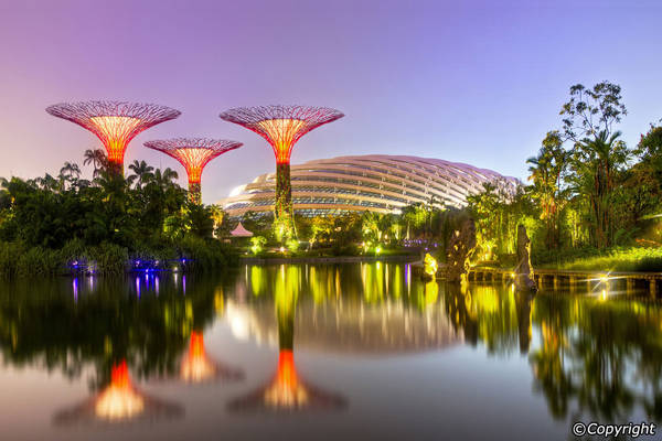 Ảnh: Singapore-guide.com