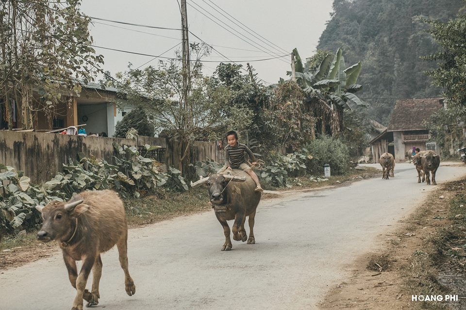 Du lich Lao Cai anh 1