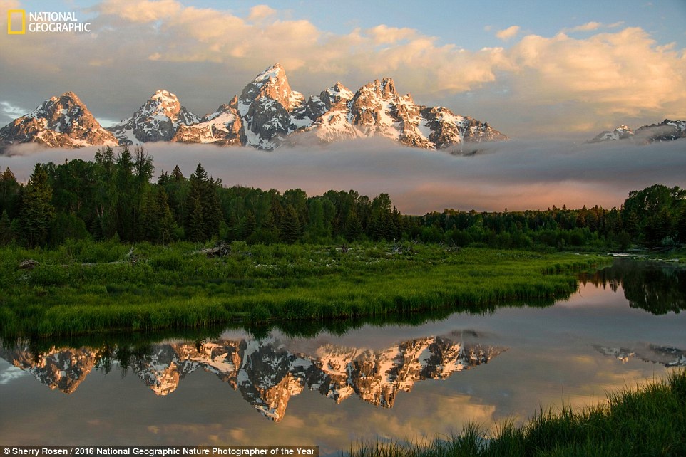 Thien nhien an tuong trong cuoc thi anh cua National Geographic anh 15