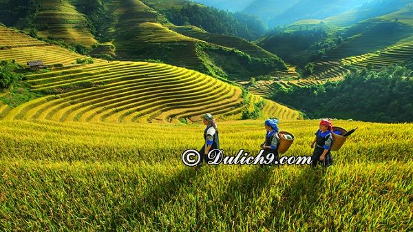 Cách di chuyển - phương tiện đi lại ở Tây Bắc - Kinh nghiệm du lịch Tây Bắc tự túc, giá rẻ