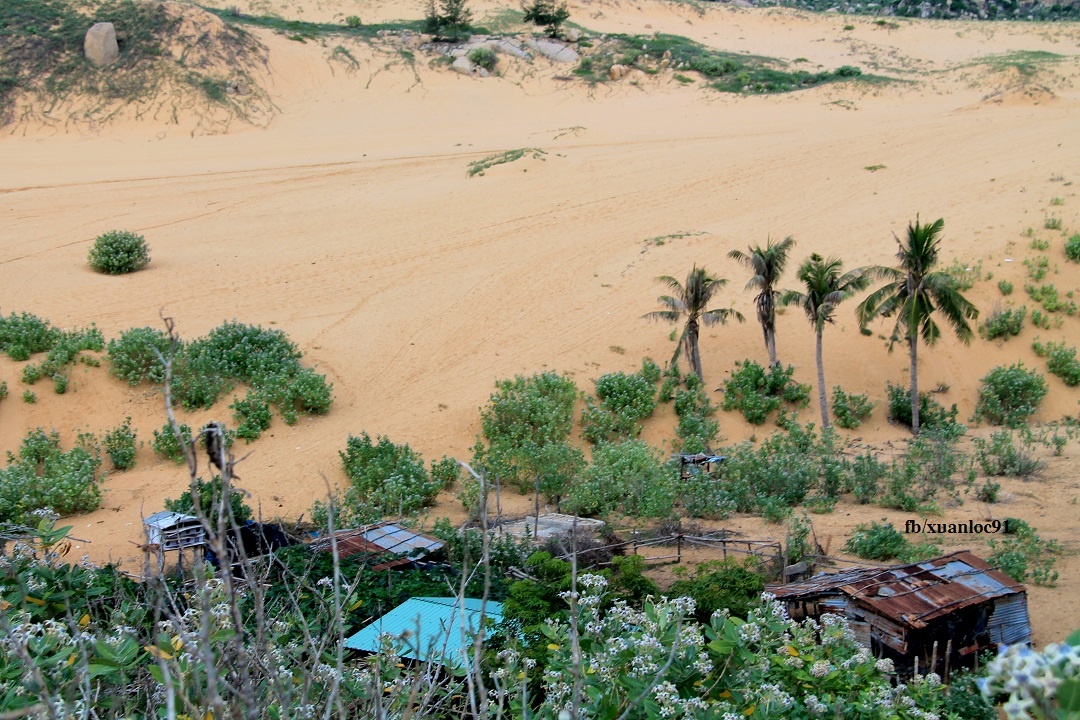 Du lich Ninh Thuan anh 16