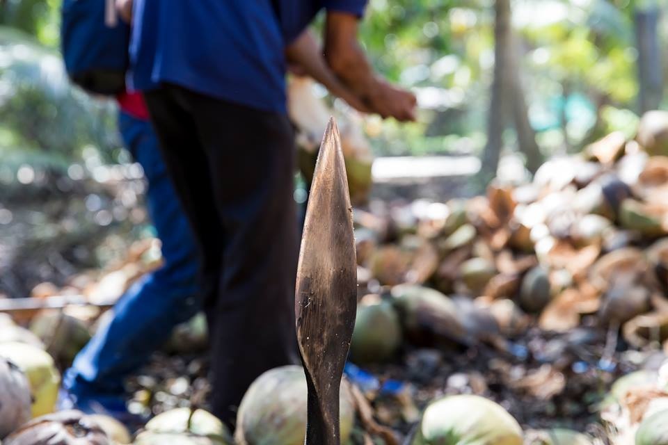 Du lich bui mot ngay o Tien Giang anh 5