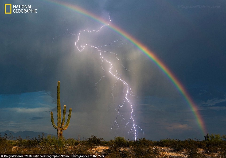 Thien nhien an tuong trong cuoc thi anh cua National Geographic anh 10