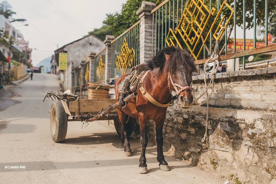 Du lich Lao Cai anh 5