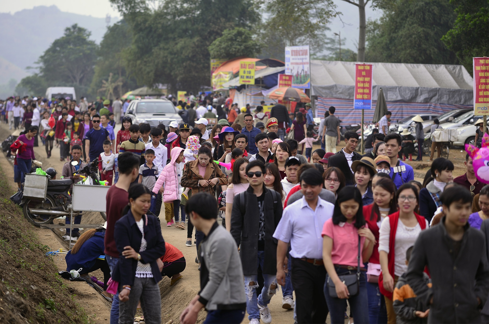 pha rao, chen chuc tai canh dong hoa huong duong anh 2