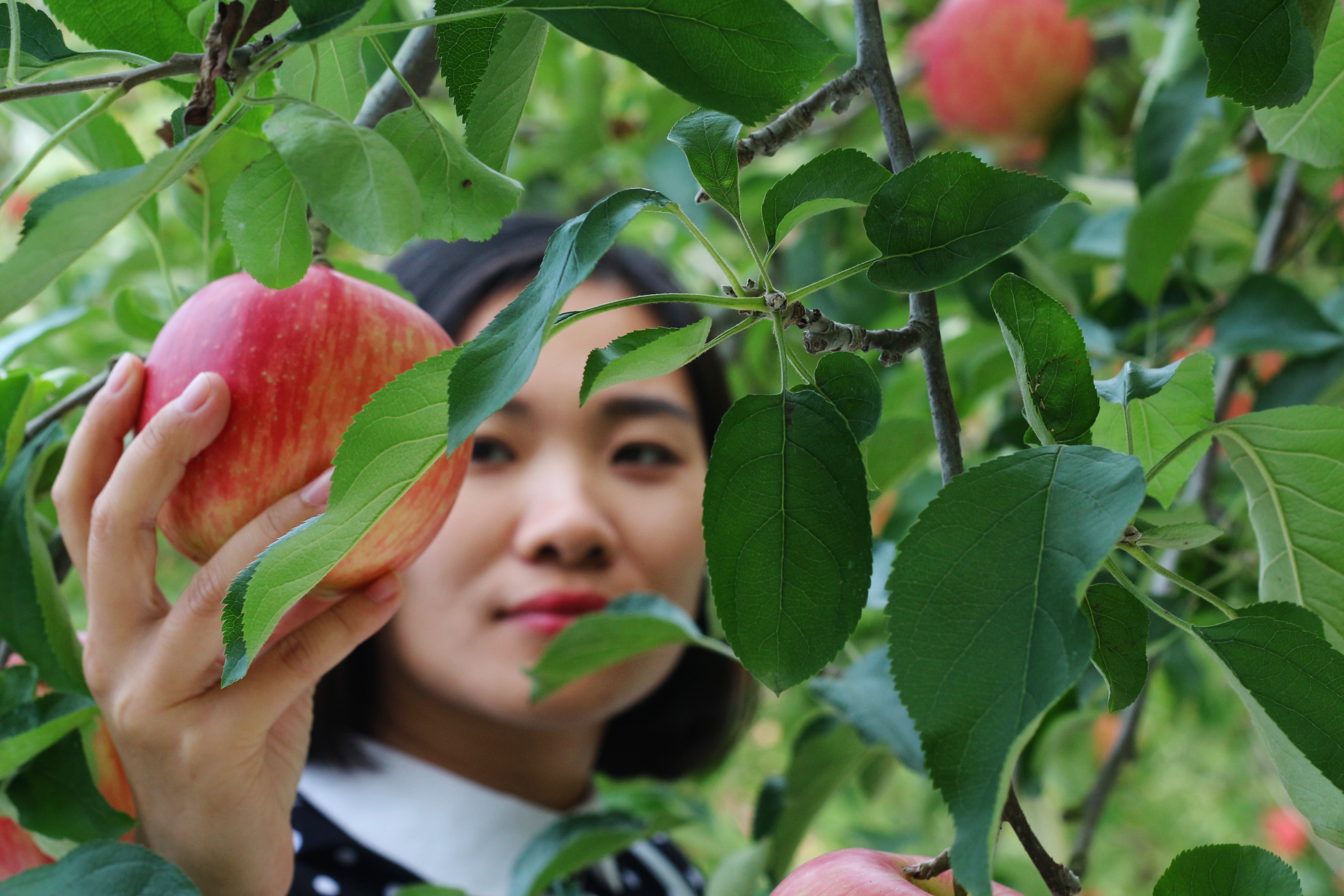 mua thu di dau choi anh 6