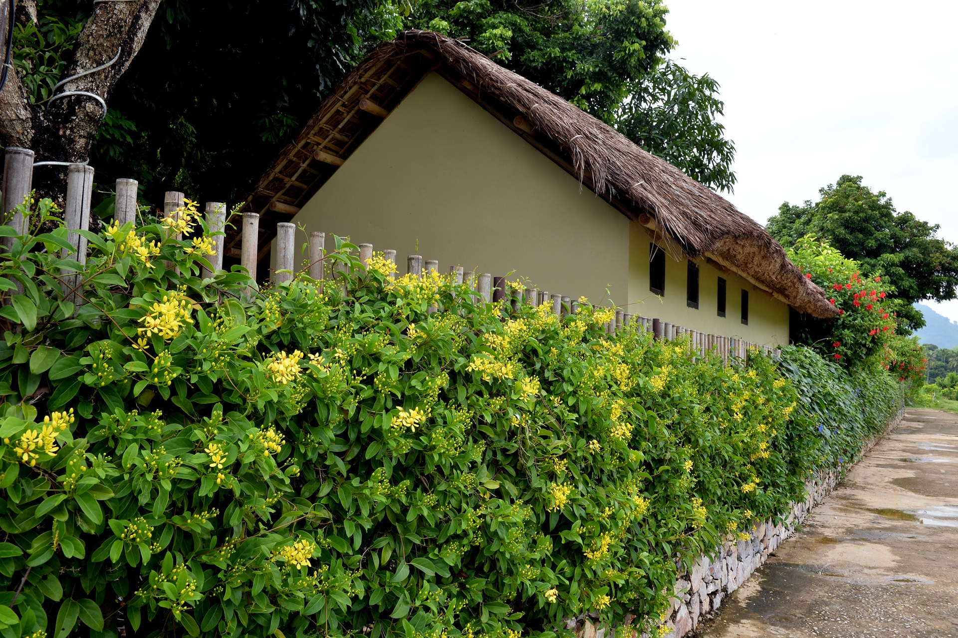 Mai Chau Villa duoi chan nui anh 10