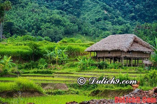 Kinh nghiệm du lịch Tây Bắc tự túc. Hướng dẫn tour du lịch Tây Bắc giá rẻ