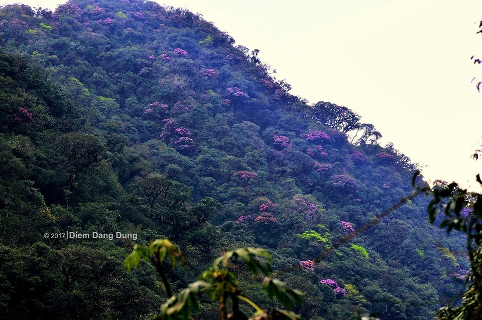 Chinh phuc dinh Putaleng anh 1