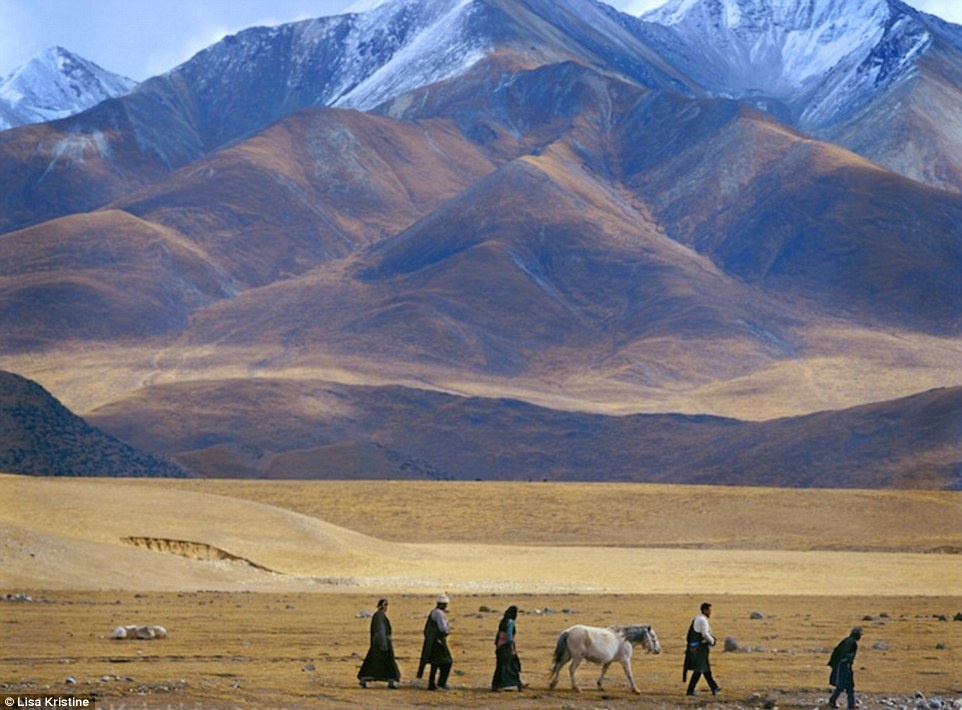 Cac nen van hoa tren the gioi anh 5