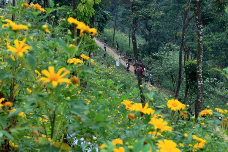 Len nui Ba vi ngam hoa da quy anh 11