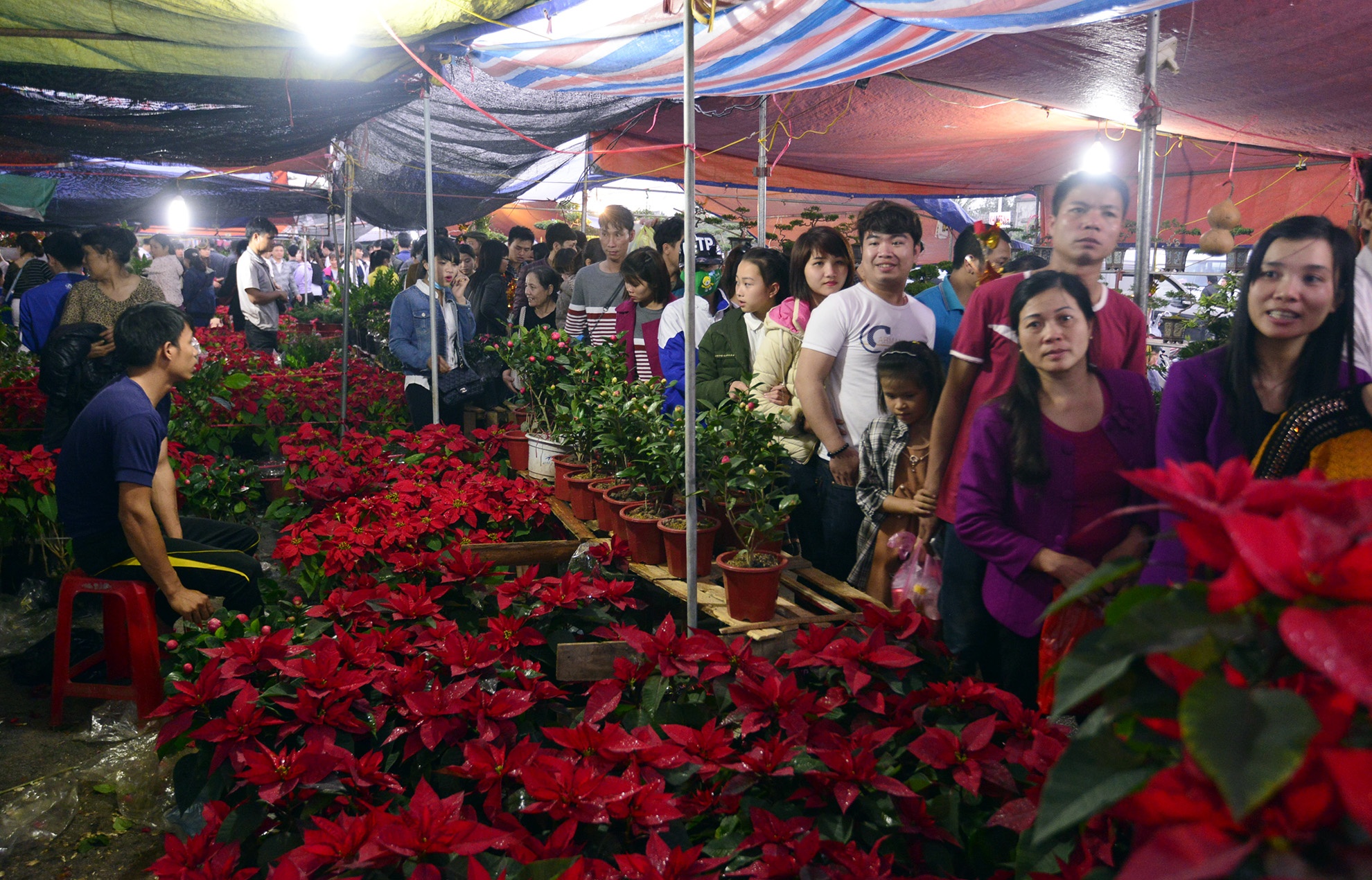 Nhung le hoi lon dau nam anh 2