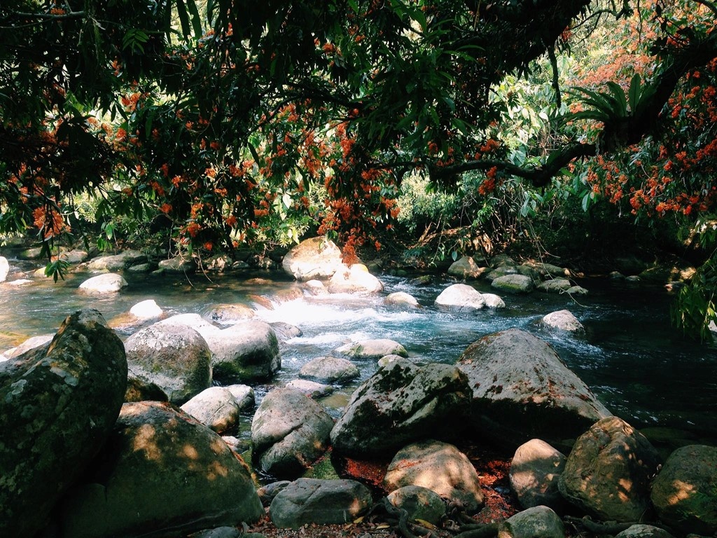 Dia diem du lich tai Quang Binh anh 3