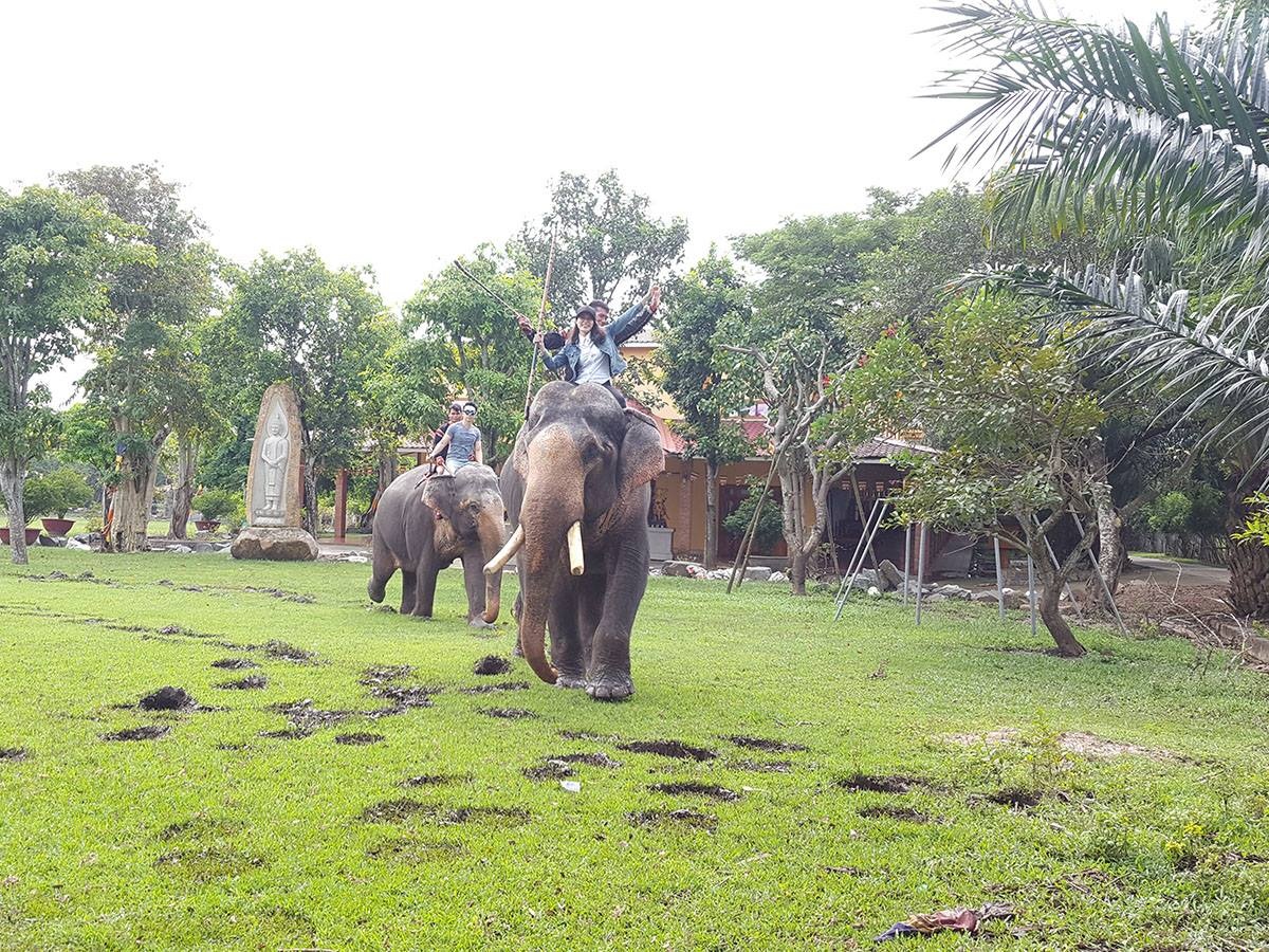 Khu du lich sinh thai Vuon Xoai anh 8