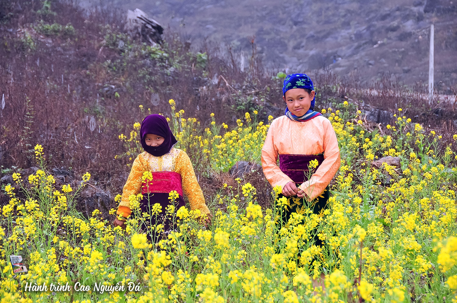 Dieu khong nen bo lo khi du lich Ha Giang anh 10