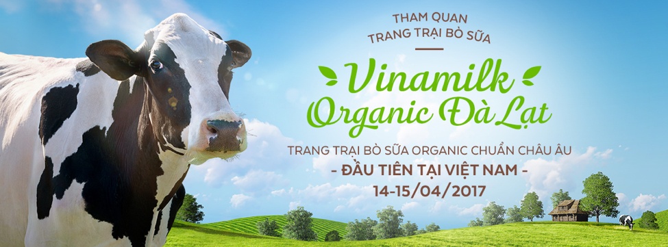 organic anh 6